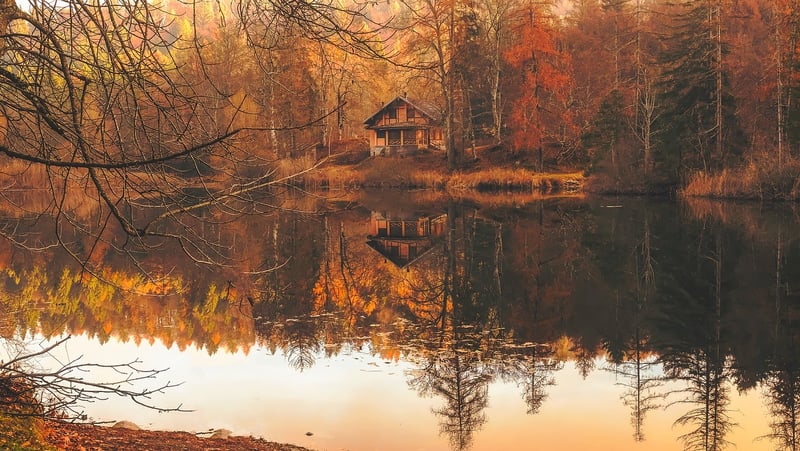 Lakeside Retreat Cabin